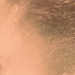 ✨HOLIDAY SPRAY TAN DUO 20% OFF✨